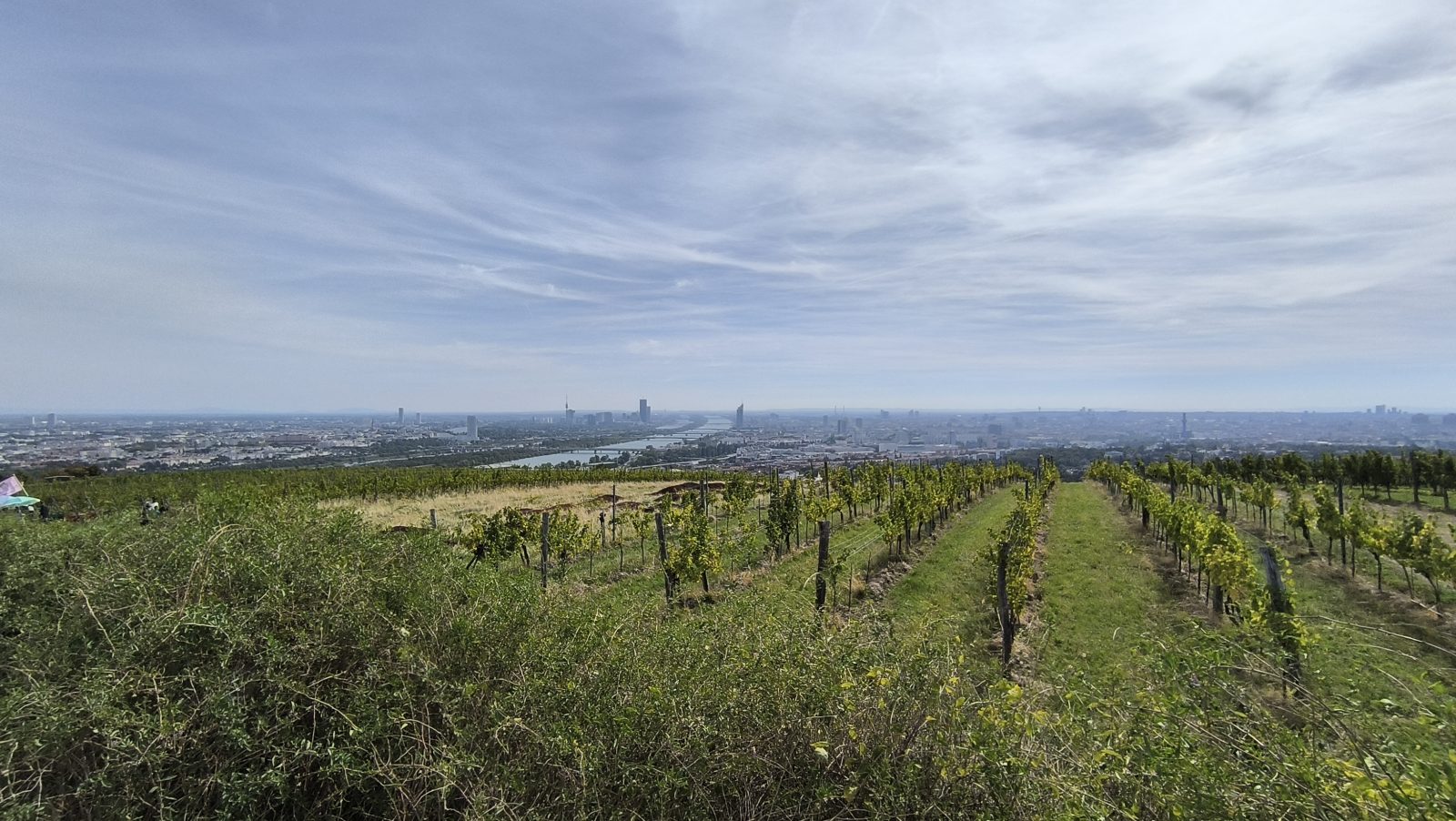 Wiener Weinwandertag 2026