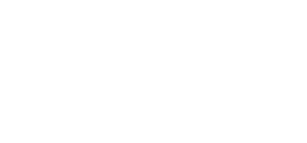 Logo Schandl's Weingut