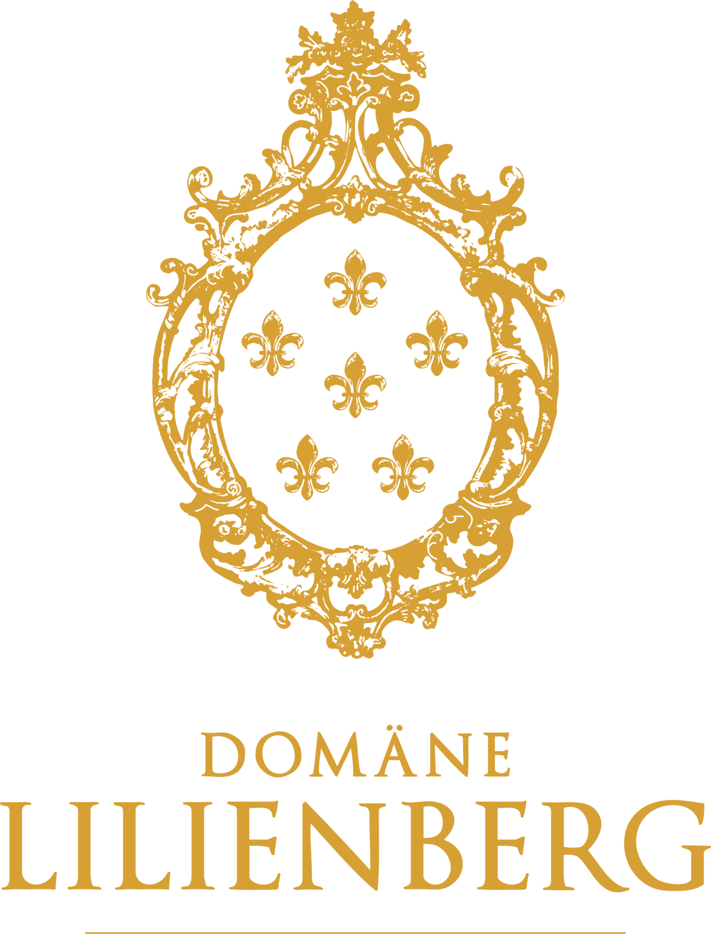 Logo of Domäne Lilienberg