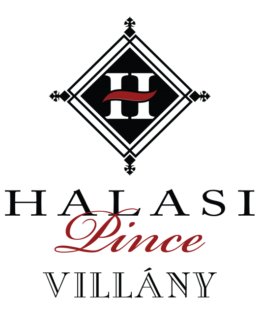 Logo Halasi Pince